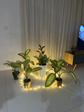 ریسه ال ای دی مفتولی مدل ضد آب طول 5 متر بسته 3 عددی