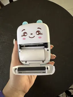 پرینتر لیبل زن ناب سل مدل  پرتابل کد NAAB001 BL