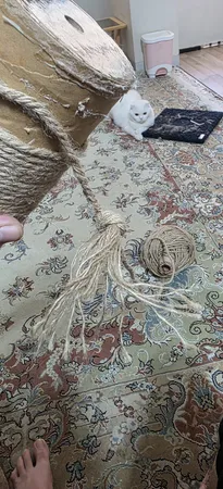 نخ کنفی مدل 8میل طول 100 متر