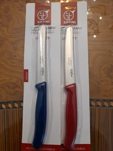 تجریه خرید چاقو آشپزخانه جی فی نی مدل G-02 مجموعه 2 عددی