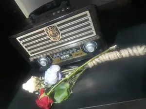 تجریه خرید رادیو مییر مدل M-113BT