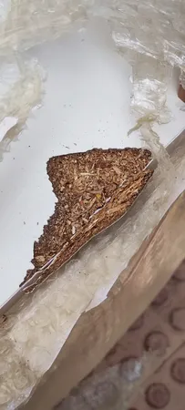 میز تحریر مدل چراغ‌دار کد 09