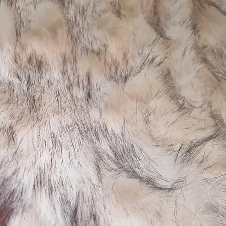 فرش ماشینی تیگران مفشوو مدل wolf