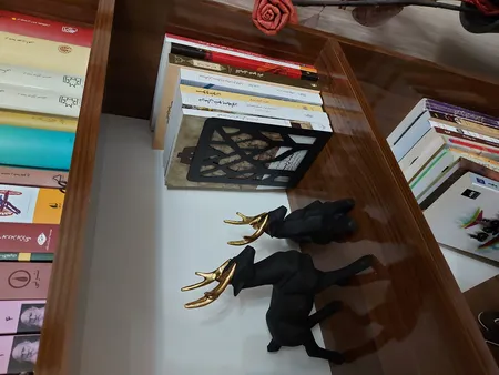 نگهدارنده کتاب مدل BOOKEND بسته 2 عددی