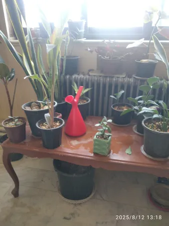 آبپاش الهوم مدل PWC1.7