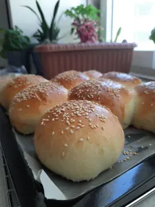 تجریه خرید آون توستر گاستروبک مدل 42814