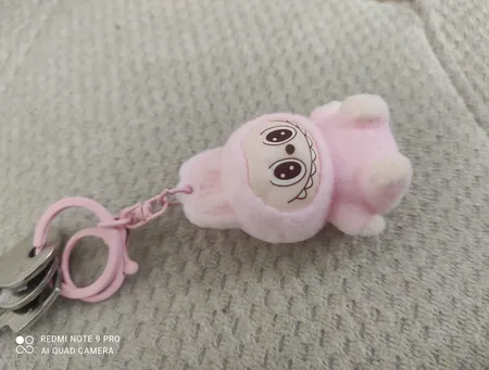 جاکلیدی مدل لبوبو