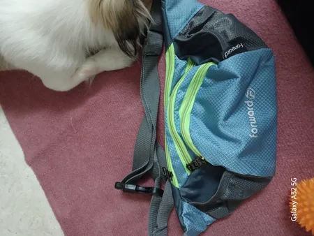 کیف کمری فوروارد مدل FCLT0104