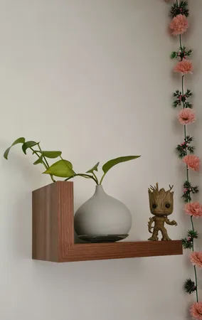 فیگور مدل فانکو گروت کله فنری