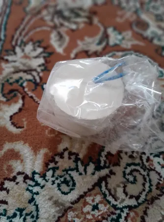 سنگ کلسیم پرنده مدل eli وزن 100 گرم