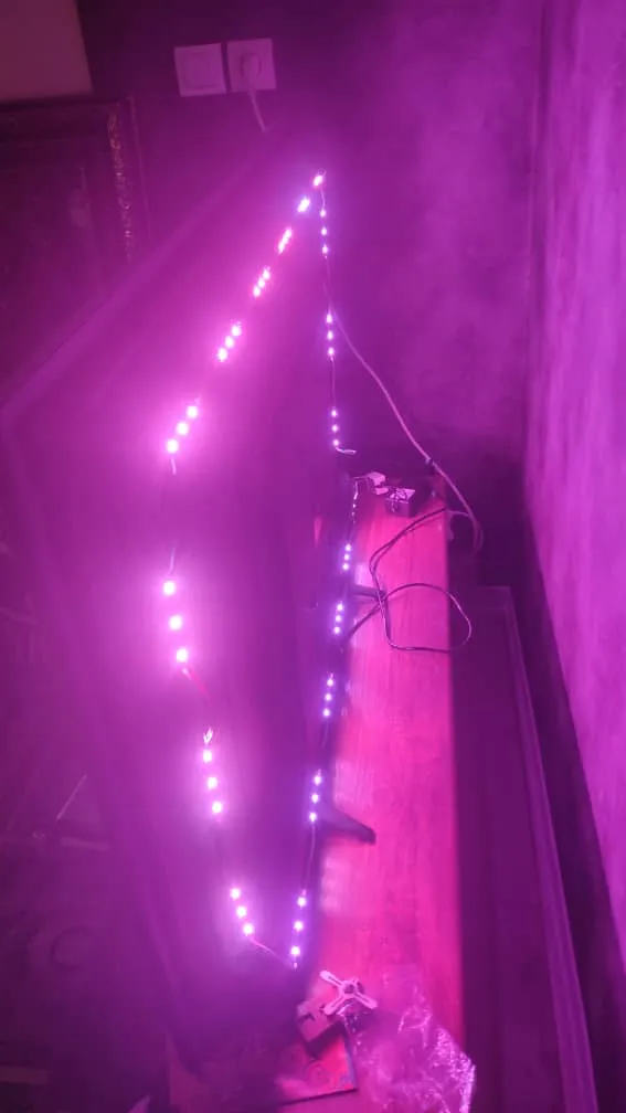 ریسه ال ای دی پی ال مدل deco65 طول 3.8 متر