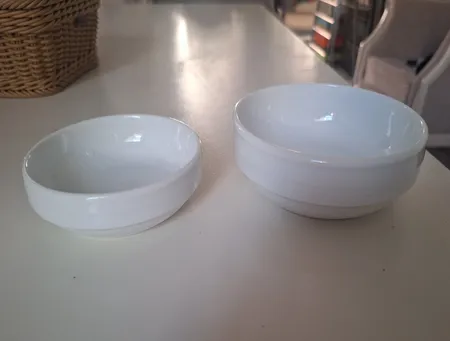 پیاله چینی زرین ایران مدل لوتوس بسته 4 عددی