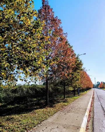 گوشی موبایل شیائومی مدل 13T 5G دو سیم کارت ظرفیت 256 گیگابایت و رم 12 گیگابایت