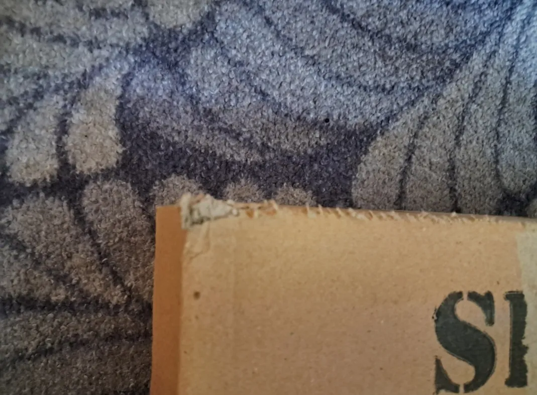 کفش پیاده روی کفش سعیدی مدل 207M