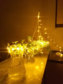 ریسه ال ای دی کد 100-LED طول 10 متر