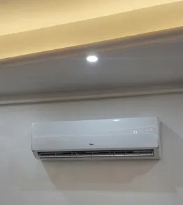 تجریه خرید کولر گازی 30 هزار جی پلاس مدل GAC-TF30ELU1