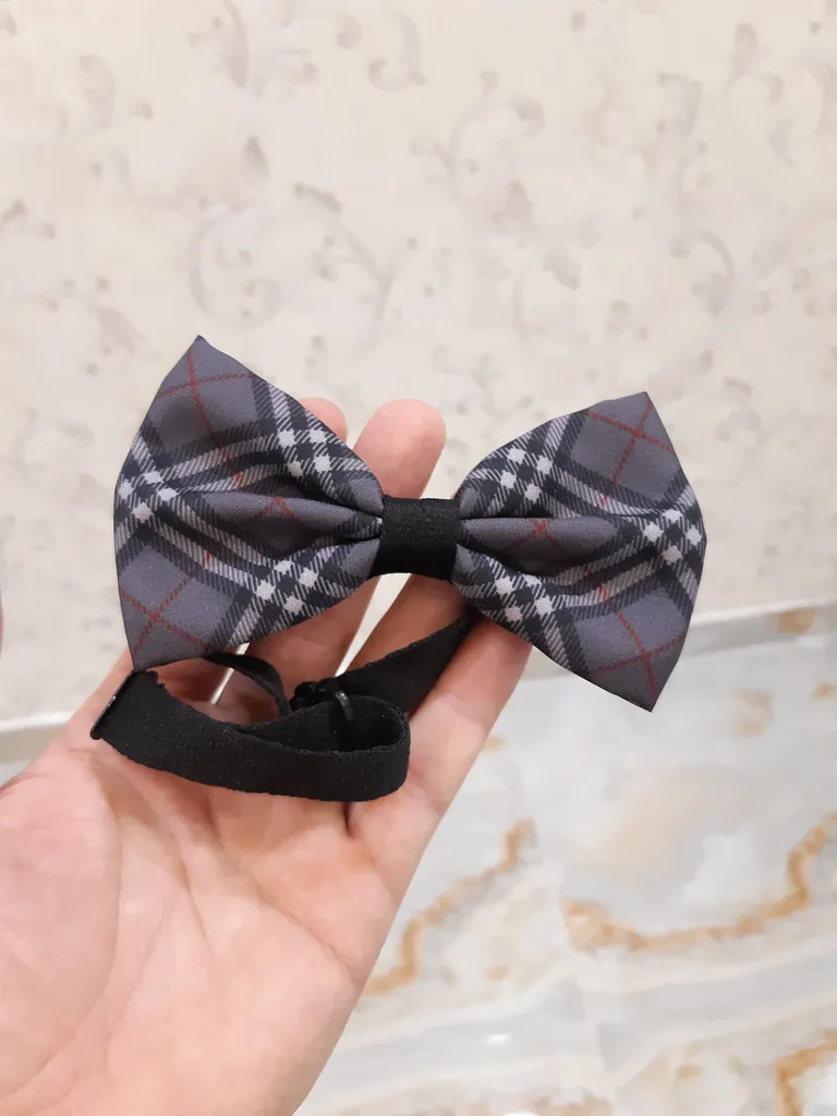 پاپیون مردانه کد 111