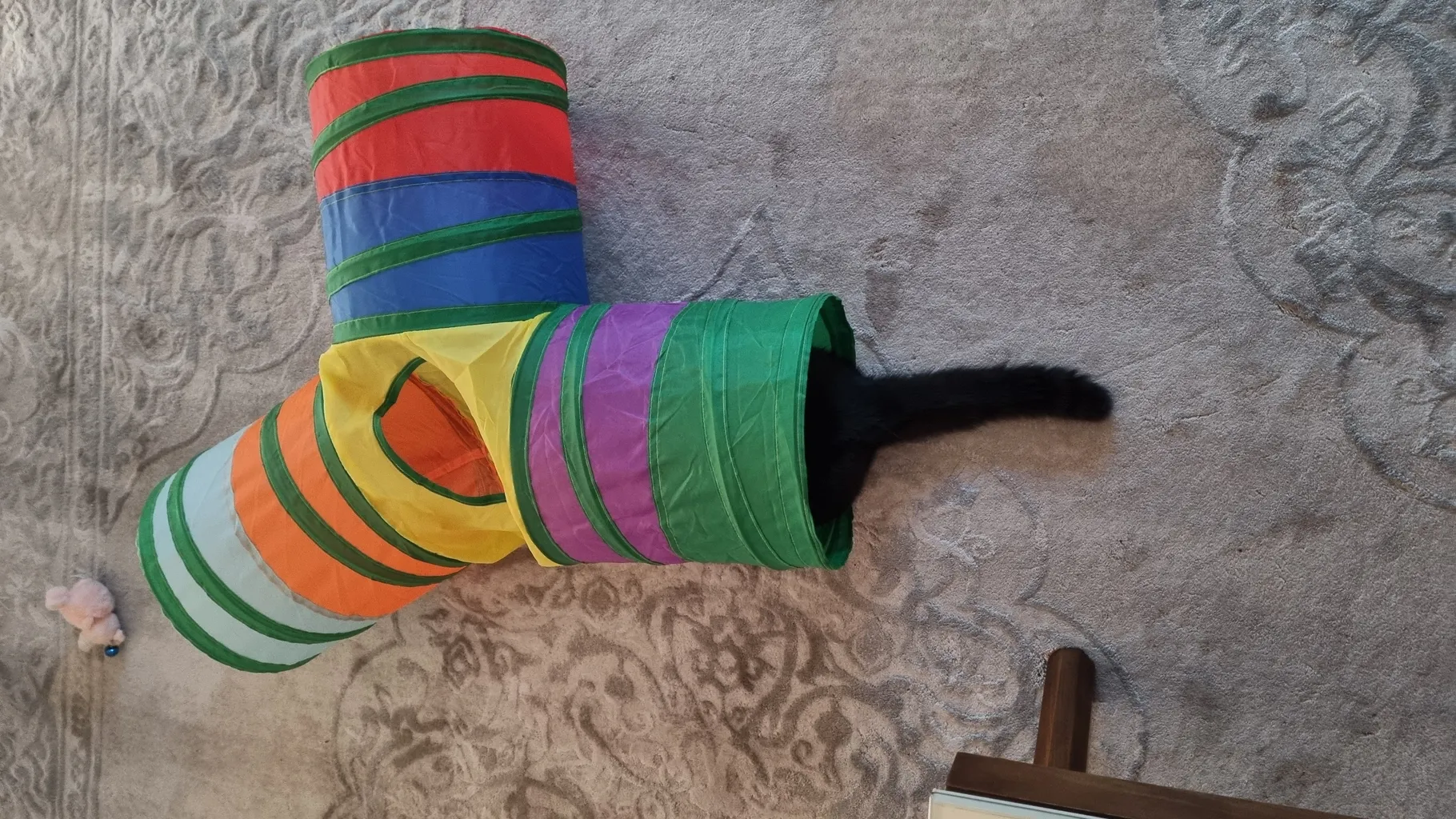 اسباب بازی سگ و گربه مدل تونل سه شاخه حفره