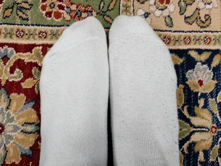 پرزگیر برقی لباس میجیا مدل MQXJQ01KL