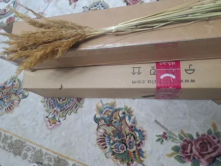 گل خشک مدل قمیش