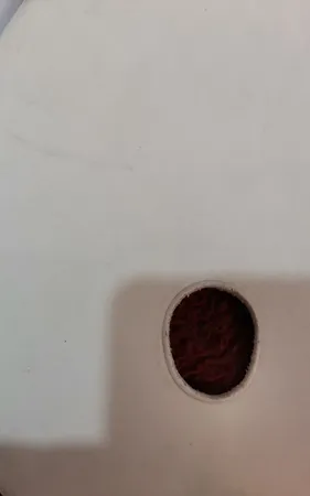 پالت رنگ روغن پرشین مدل az118