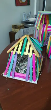 چوب بستنی مدل Ran300 بسته 300 عددی