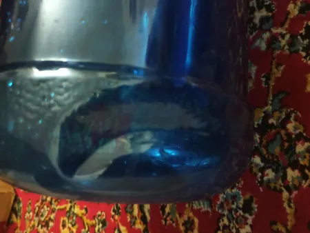 مخزن آبسرد کن مدل 10L