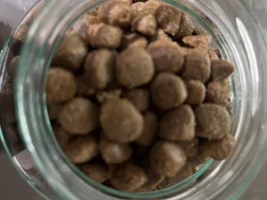 تجریه خرید غذای خشک سگ مفید مدل GIA-PE-1402 وزن 4 کیلوگرم