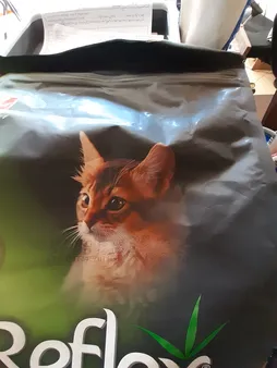 غذای خشک بچه گربه رفلکس مدل Chicken_1500 وزن 1.5 کیلوگرم