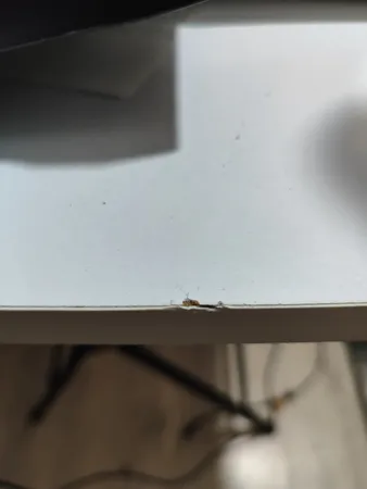 میز تحریر مدل تاشو کد 1602