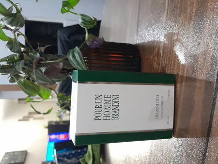 عطر جیبی مردانه برندینی مدل PourUn حجم 33 میلی لیتر