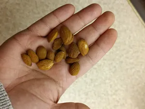 تجریه خرید مغز بادام خام صادراتی آنید - 200 گرم