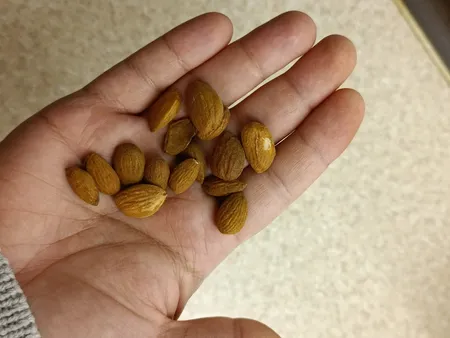 مغز بادام خام صادراتی آنید - 200 گرم