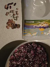 تجریه خرید لوبیا عروس دستچین کالا - 1200 گرم