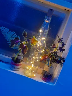 ریسه ال ای دی کد Bottle Light/2m