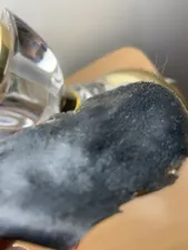 تجریه خرید وکس موبر ماهریس مدل طلا وزن ۵۰۰ گرم