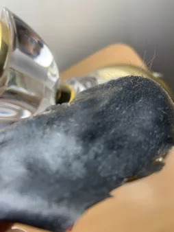 وکس موبر ماهریس مدل طلا وزن ۵۰۰ گرم