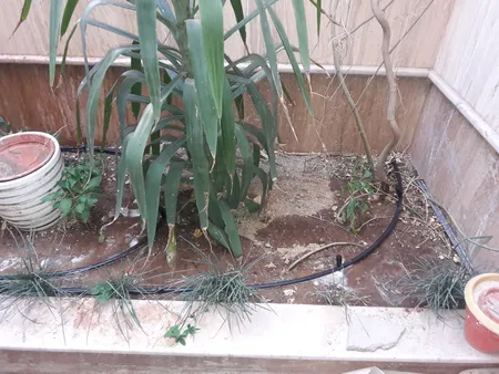 لوازم آبیاری قطره ای تهران دریپ مدل ALFA-50 مجموعه 50 عددی