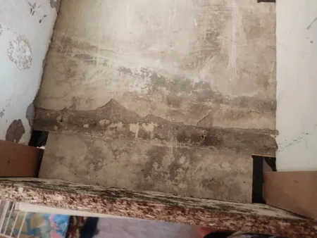 سبد سیب زمینی و پیاز مدل L02