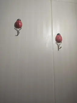 قلاب آویز حوله طرح کفشدوزک بسته 3 عددی