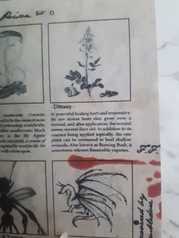 اسباب بازی زینتی مستر گرین مدل کتاب های مدرسه هری پاتر طرح معجون سازی شاهزاده دورگه