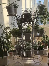 تجریه خرید استند گلدان دکومرآت مدل سرو