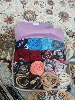 نظم دهنده لباس زیر و جوراب مدل PH-58