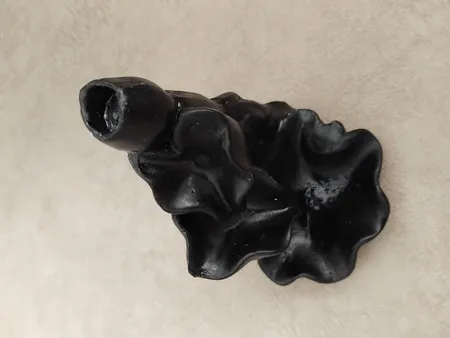 جاعودی مدل آبشاری طرح برکه گلبرگ