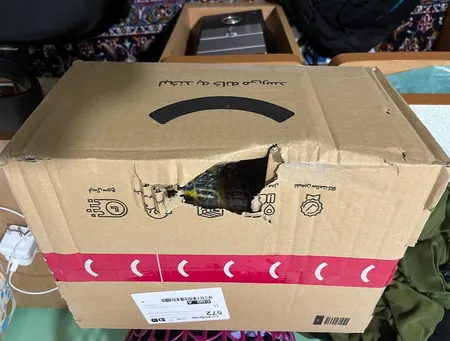 اسپری تمیز کننده لاستیک خودرو اس تی پی مدل Son of a Gun بسته 5 عددی