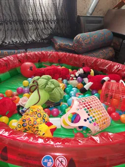 استخر بادی اینتکس کد 58448