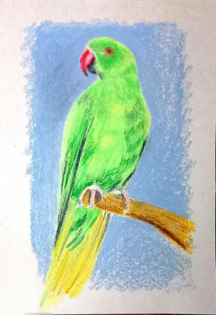 پاستل 48 رنگ آریا مدل Artist کد 2604