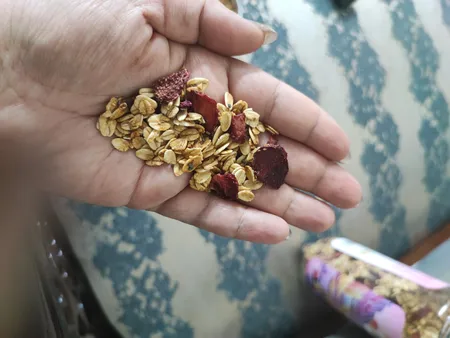 گرانولا بری نیچربایت - 380 گرم