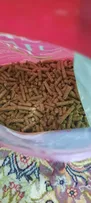 غذای خشک خوکچه هندی تاپ فید مدل Daily Pellet وزن 1 کیلوگرم