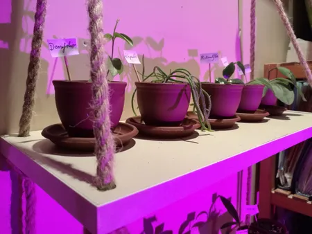 گلدان کلاسیک مدل G3006 مجموعه 10 عددی